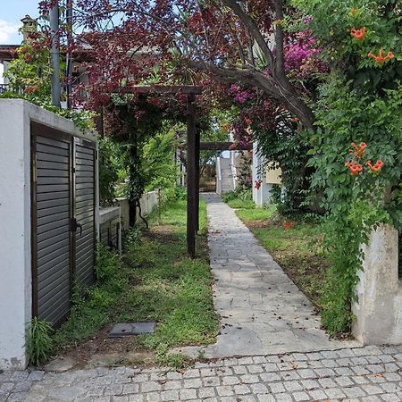 Melina Apartments Nikiti  Bagian luar foto